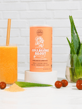 COLLAGÈNE BOOST - Aloe verra, Lucuma, Rosehip, Camu camu, Tremella - E-picerie Fine